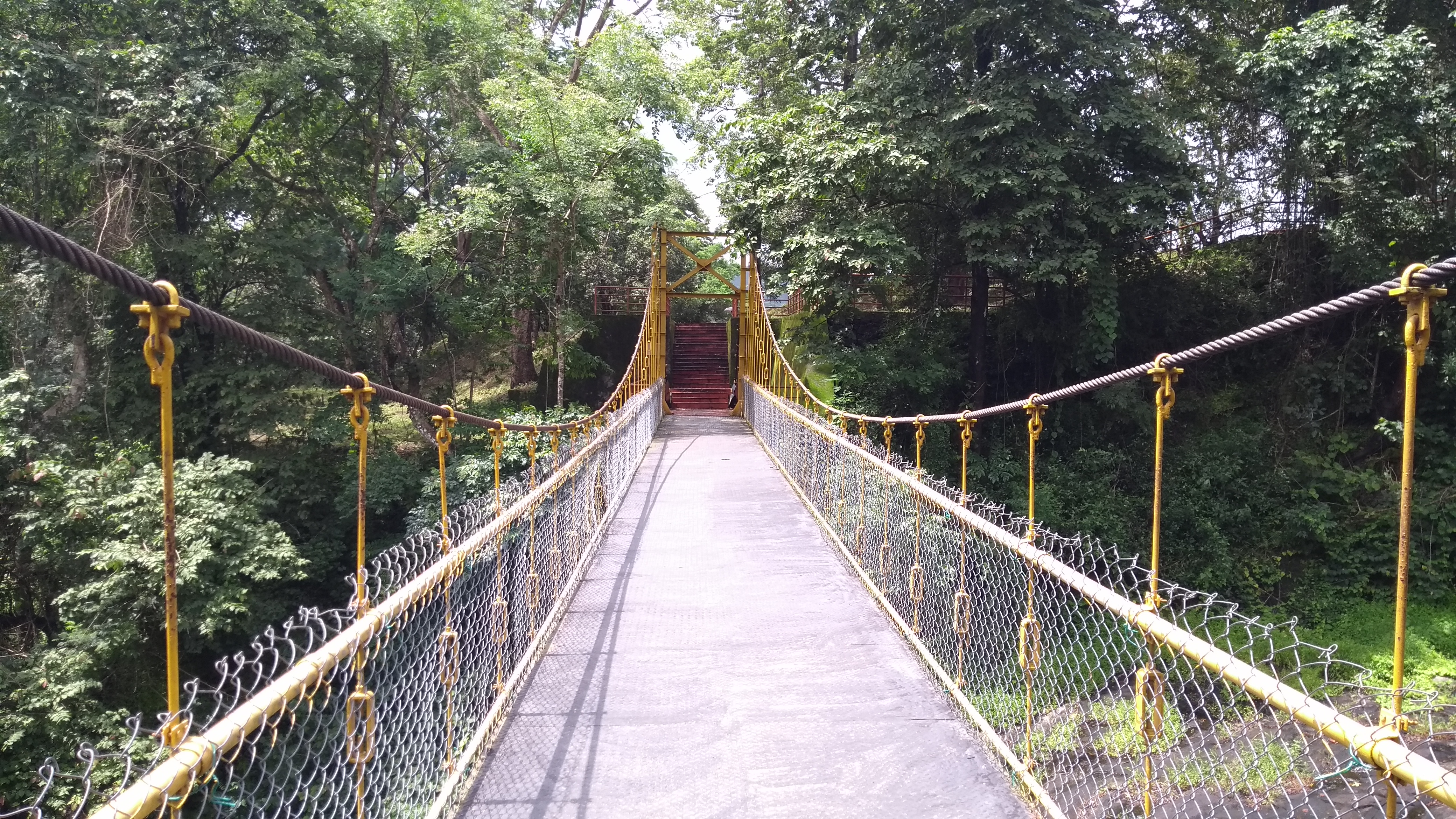 Hanging Bridge