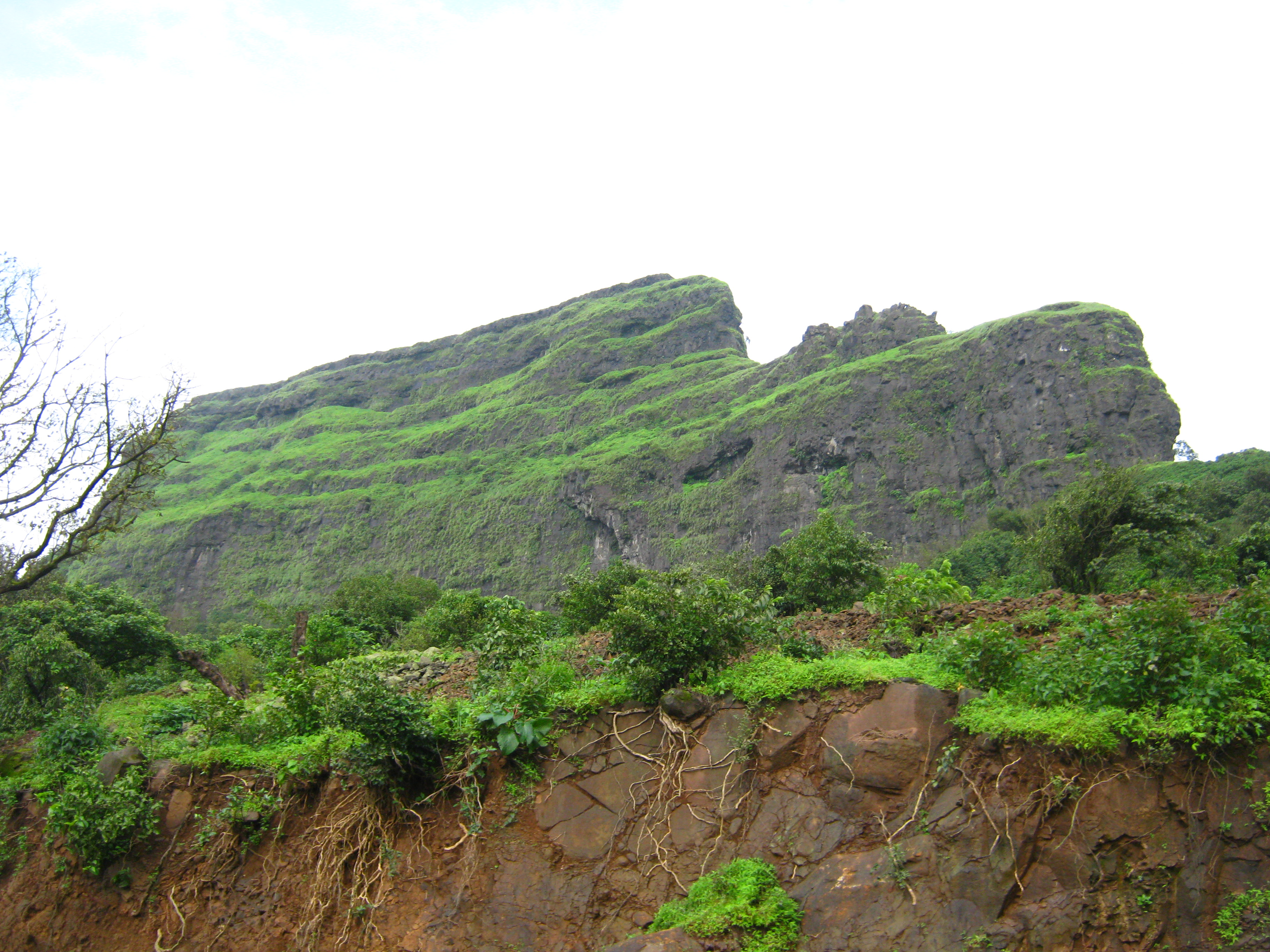 Visapur