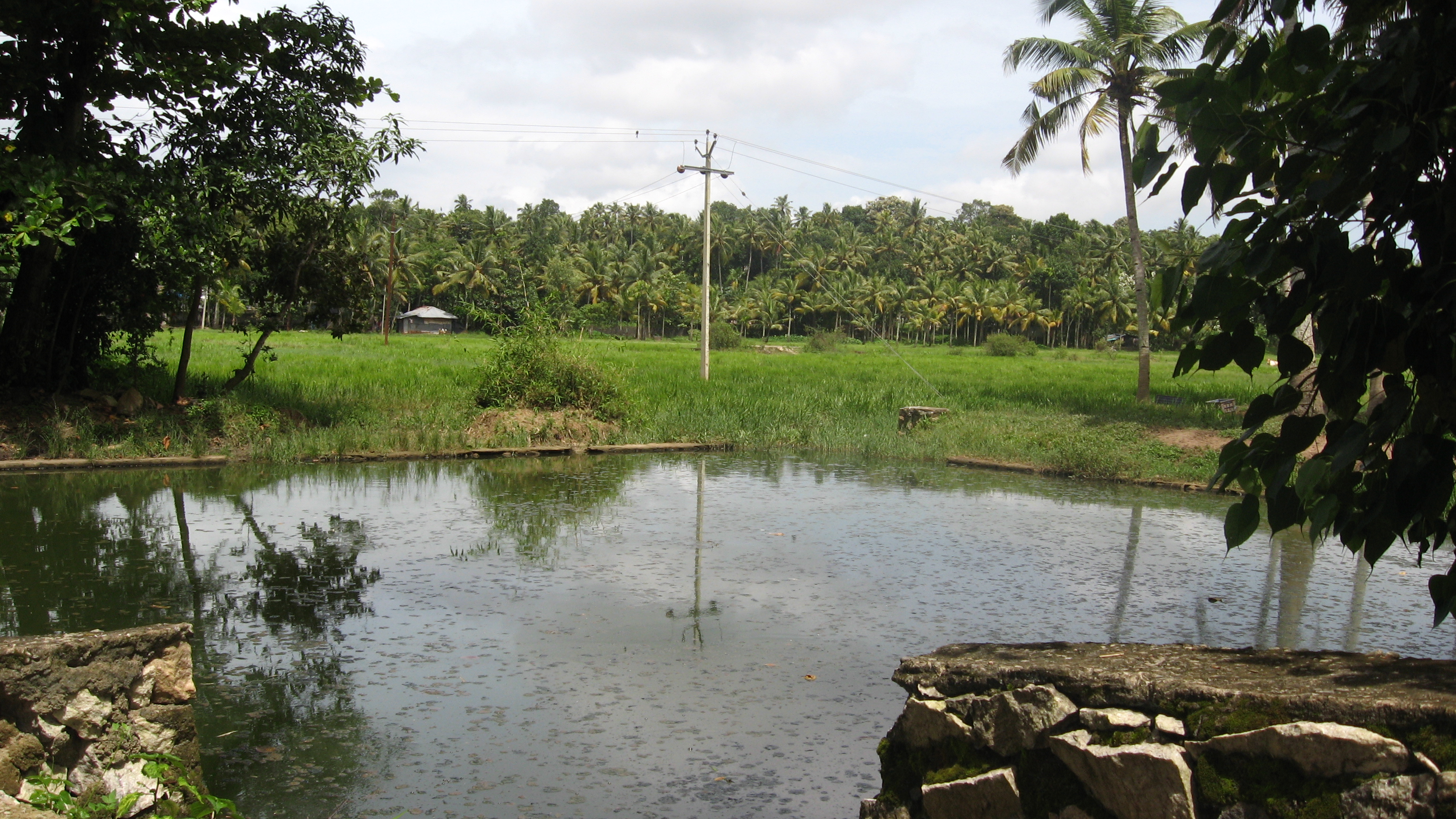 View of Perumkulam Ela close to Mangalathu temple Pond
