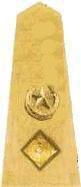 Pakistan Army Lieutenant Colonel
