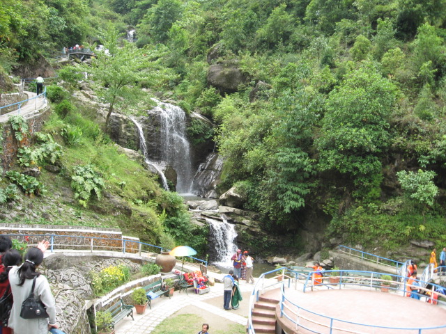 Chunnu Summer Falls in the garden