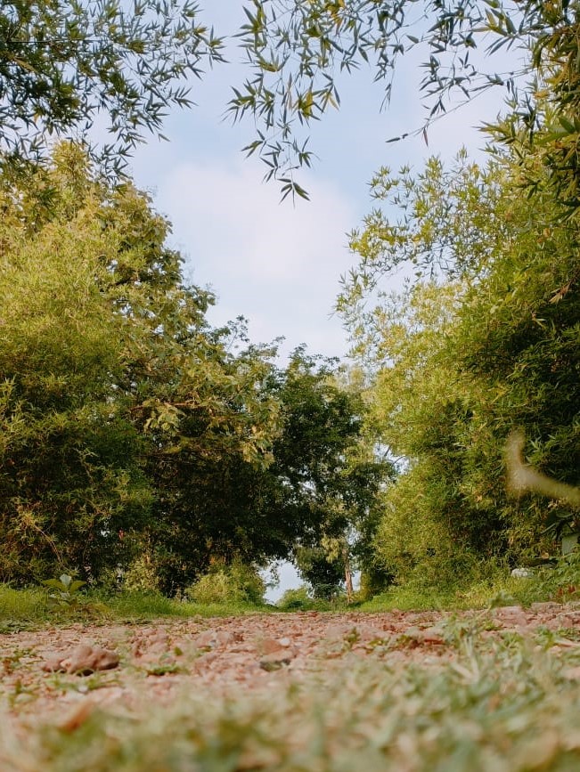 Turahalli forest Cycling Trail