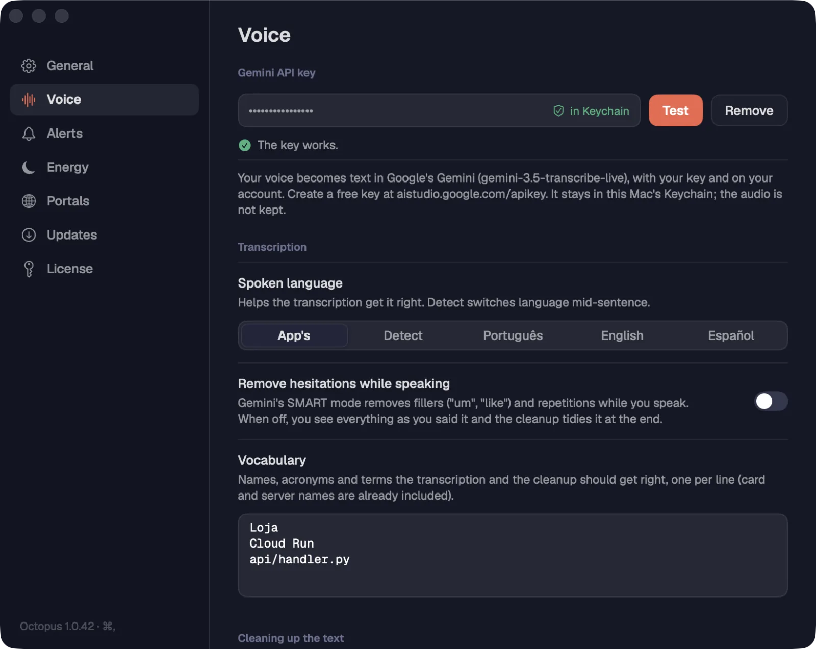 The key saved and checked in Settings › Voice