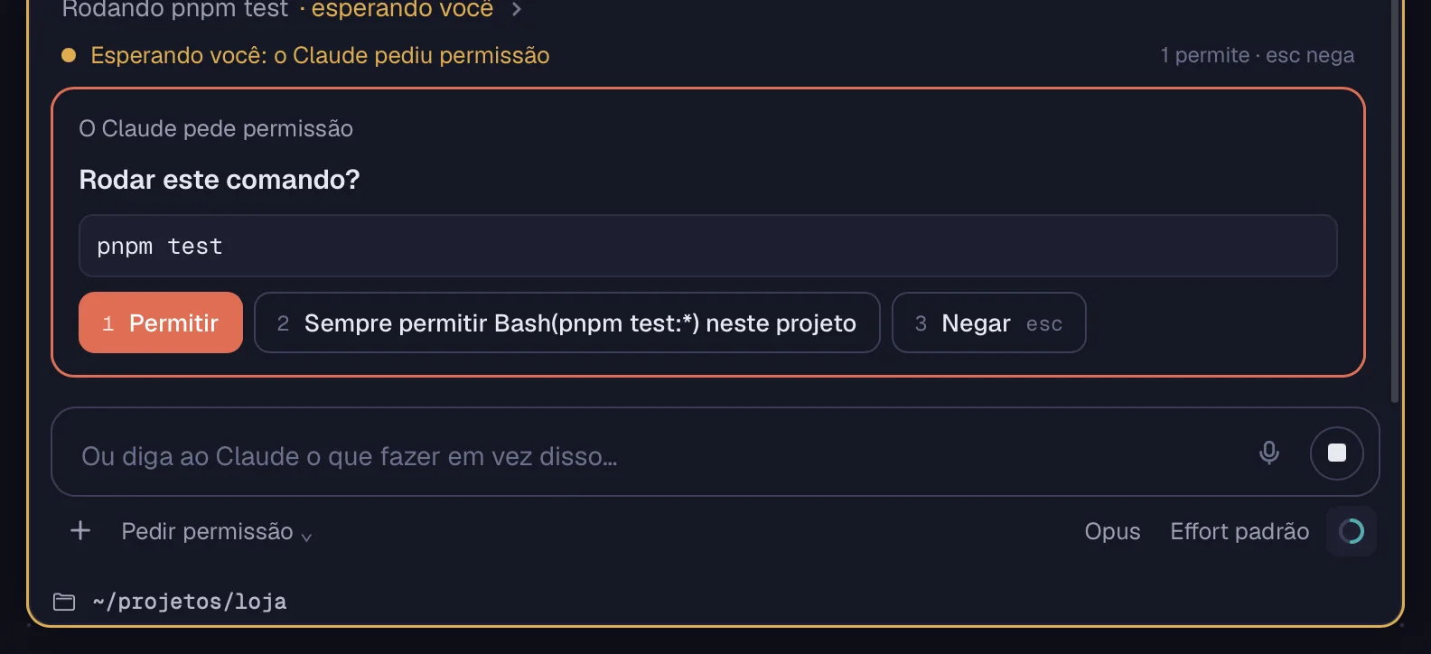 Um pedido de permissão com as opções numeradas