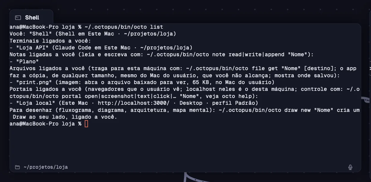 A saída do octo list num terminal
