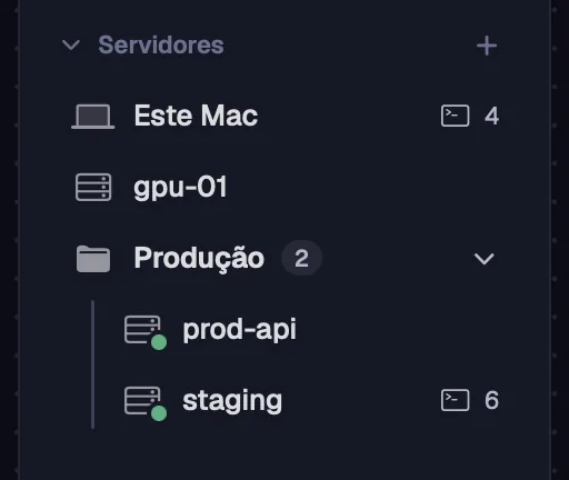 A seção “Servidores” com um grupo aberto.