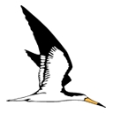 Skimmer, Inc.