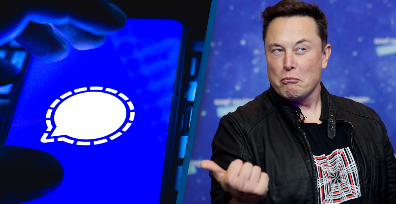 Tudo que precisas saber sobre o Elon Musk e o Signal