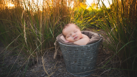 Portrait d'un bébé endormi dans un panier, avec le l'herbe en arrière plan, et la lumière dorée du soir.