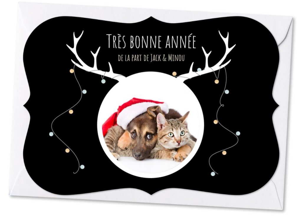 Carte de voeux avec un chat - inspiration et idées créatives - câlins chien et chats amis