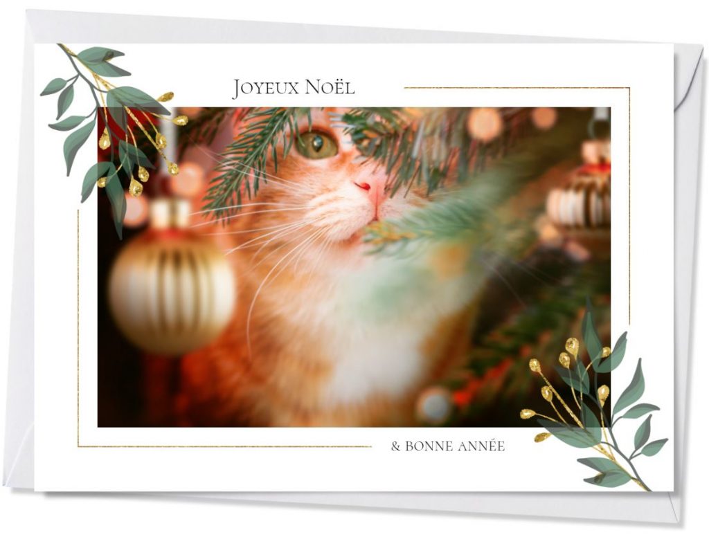 Carte de voeux avec un chat - inspiration et idées créatives - jouez avec le sapin de Noël