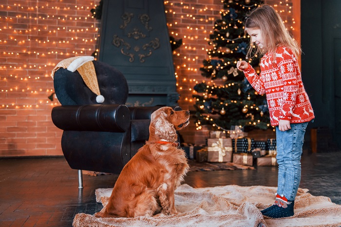 Carte de voeux avec photo de chien - inspiration pour un shooting efficace