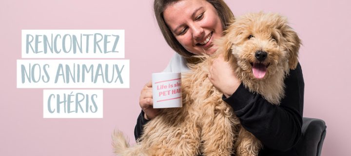 Alerte mignonnerie 😻 Rencontrez les animaux de smartphoto🐶