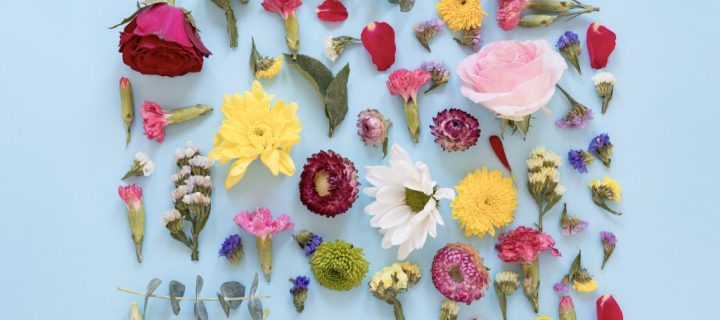 Le poster des fleurs de naissance: une fleur pour chaque mois !