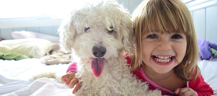 🐶 8 roliga presenter till din hund – som även är praktiska för dig!