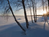 Kevättalven luonto talteen