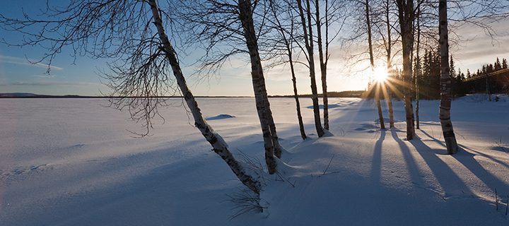 Kevättalven luonto talteen