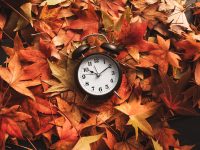 Wer hat an der Uhr gedreht? Alles Wissenswerte zum Thema Zeitumstellung
<span class="bsf-rt-reading-time"><span class="bsf-rt-display-label" prefix="Lesezeit"></span> <span class="bsf-rt-display-time" reading_time="3"></span> <span class="bsf-rt-display-postfix" postfix="Minuten"></span></span><!-- .bsf-rt-reading-time -->