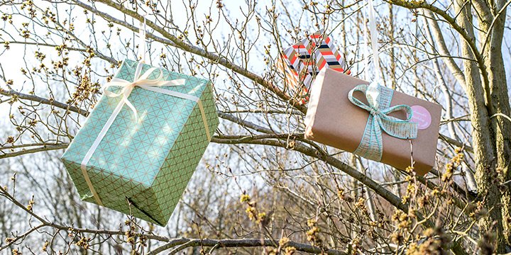 Gifts hanging on ribbons in trees