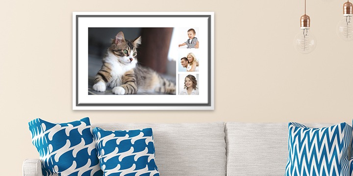 Canvas with cat and her family