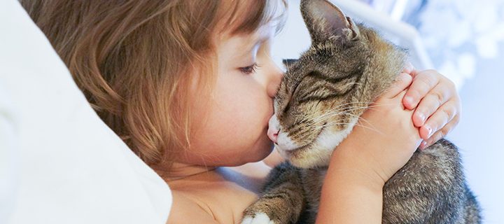 7 tips – How to pamper your pet on International Pet Day  😻!