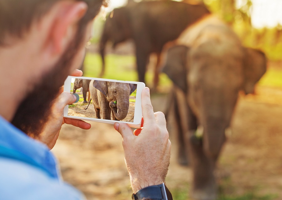 Foto's maken met je telefoon, scherpte