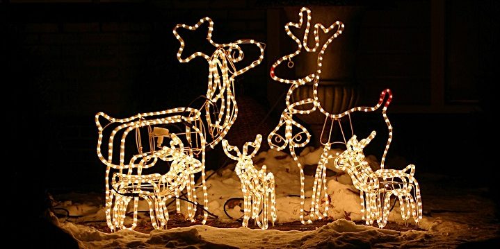 kerstverlichting - je tuin versieren