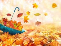 5 tips voor het maken van mooie herfstfoto’s