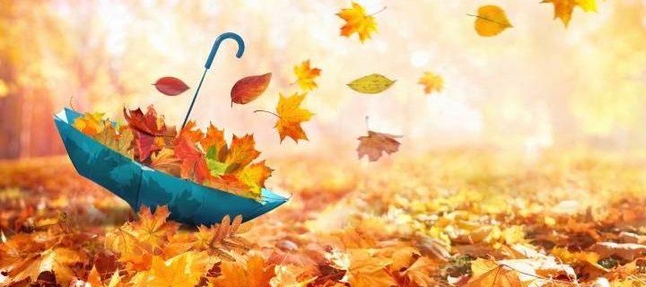 5 tips voor het maken van mooie herfstfoto’s