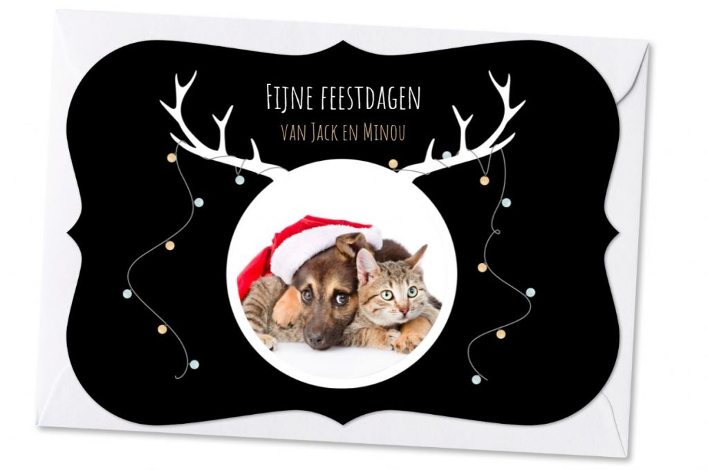 Leuke kerstkaart ideetjes met je kat in de hoofdrol