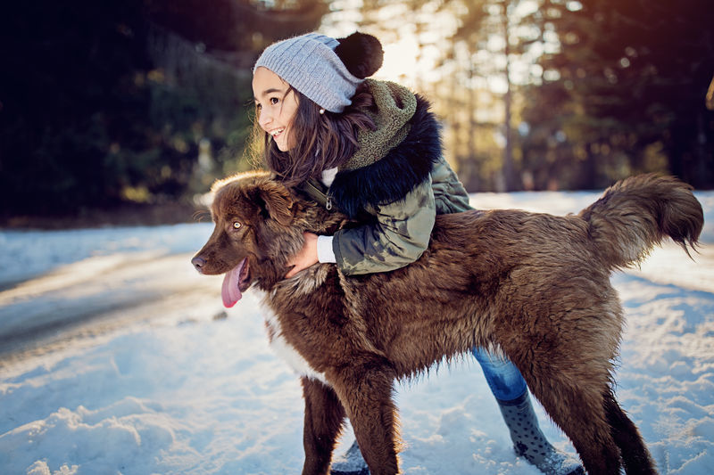 hond buiten voor kerstkaart