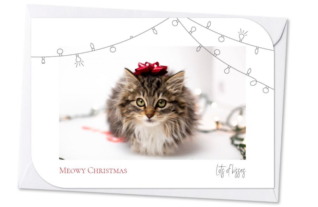 Carte de voeux avec un chat - inspiration et idées créatives - accessories - décos de Noël