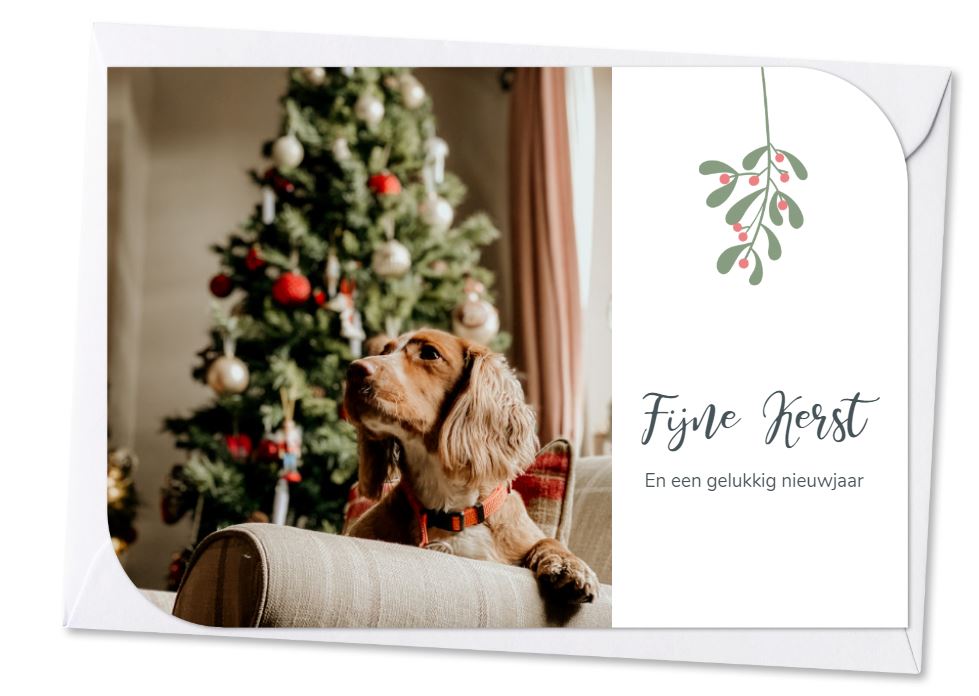 Leuke kerstkaart ideetjes met je hond in de hoofdrol