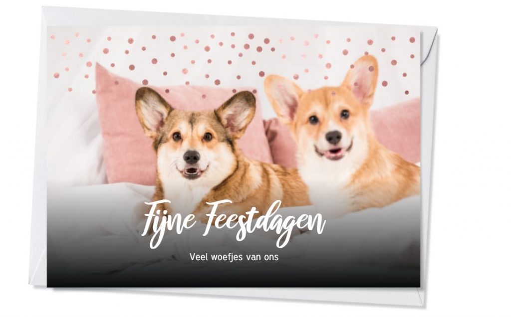 Leuke kerstkaart ideetjes met je hond in de hoofdrol