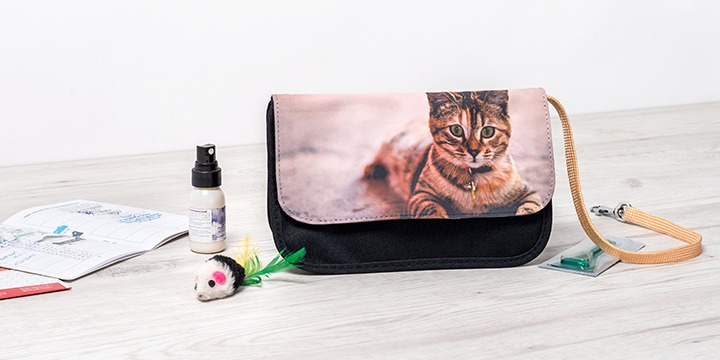 Makeup bag as travel bag for cat