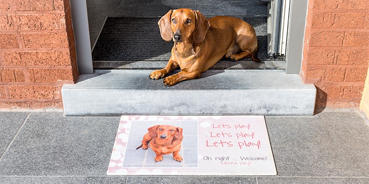 Doormat with photo of dog and real dog sitting next to it