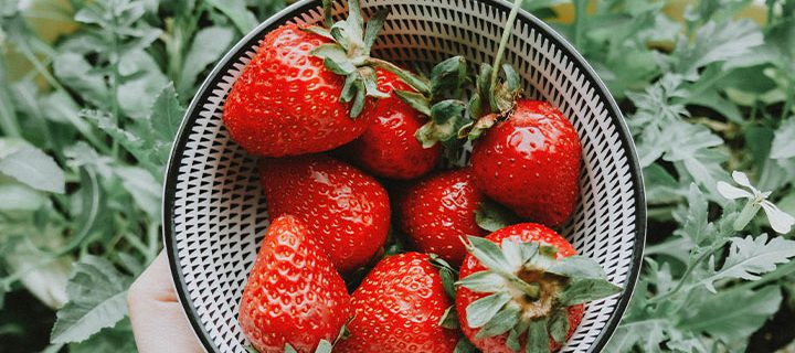 Take care of the summer harvest with our simple jam recipe 🍏🍓🍅