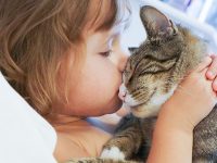 7 tips – How to pamper your pet on International Pet Day  😻!