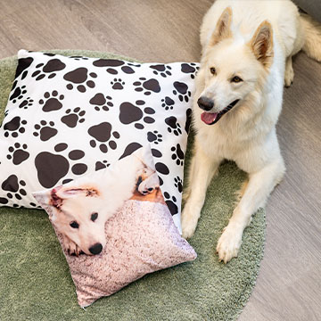 Photo Cushion