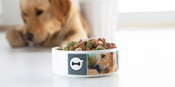 gifts for dogs - dog bowl