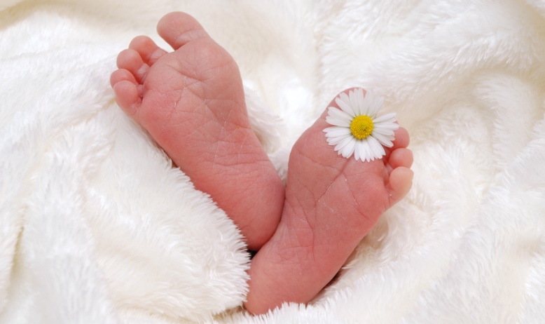 2 petits pieds de bébé dépassent d'une couverture blanche.. Une paquerette est calée entre les orteils du pied gauche.