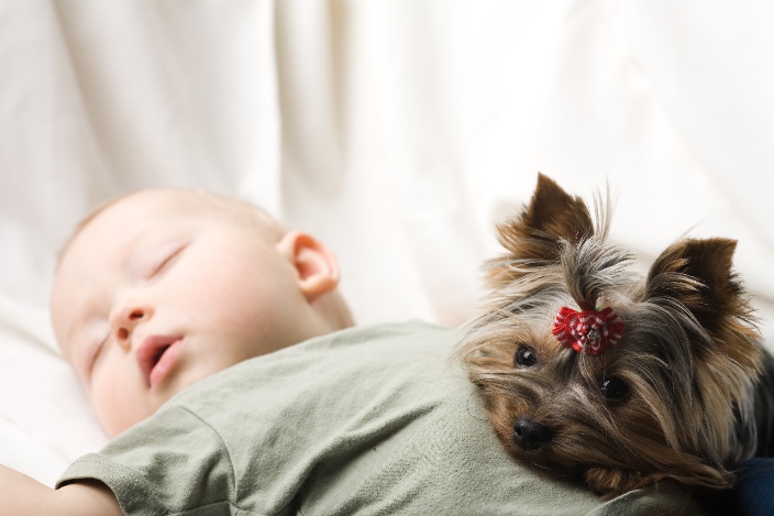 Photo d'un bébé endormi sur le dos. Un petit chien est couché à ses côté et pose sa tête sur le ventre de l'enfant.