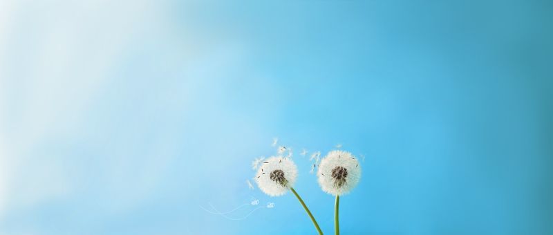 Photos de vacances: pensez à photographier le ciel : une photo intemporelle que vous chérirez !