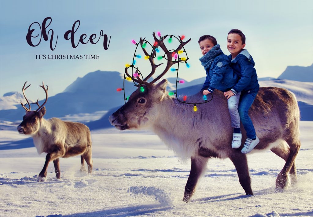 Photo de Noël originale pour votre carte de voeux : photos avec nos amis les animaux - rennes