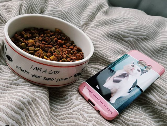 idee photo animal de compagnie : étui pour smartphone, création et photo par @inlovewithmylife_ sur instagram

