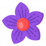 Balloon Flower -300 Flat Flower Icons (2)