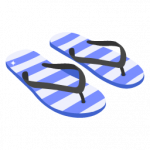 Flip Flops