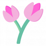 Pink Tulips -300 Flat Flower Icons