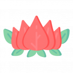 Water Lily -300 Flat Flower Icons