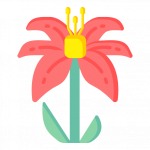 Western Lily -300 Flat Flower Icons
